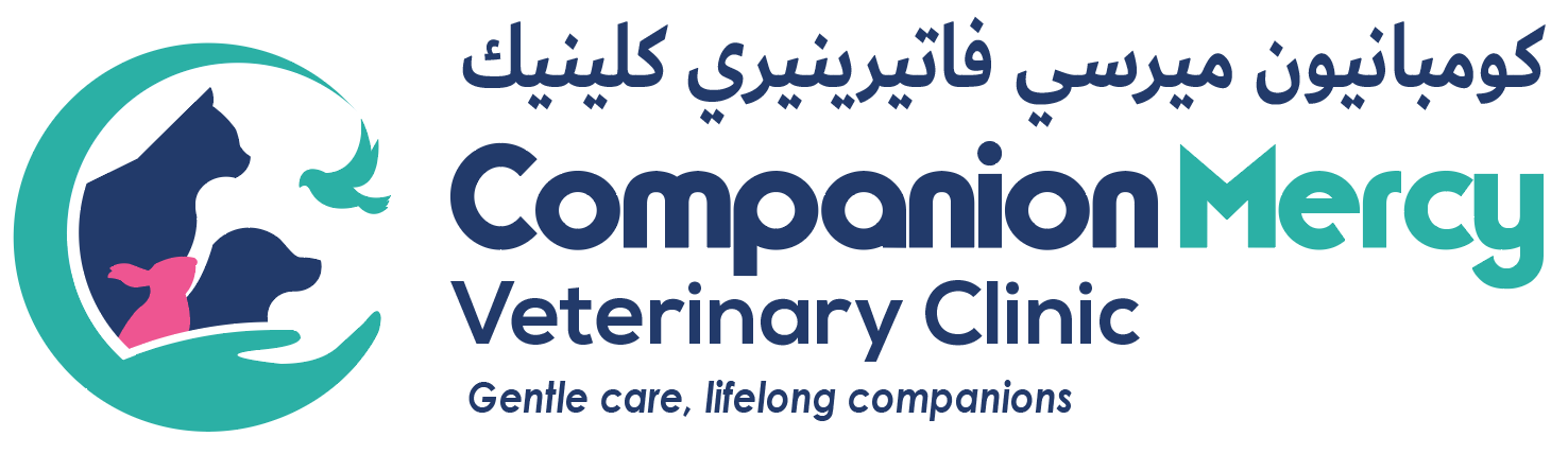 Companion Mercy Logo